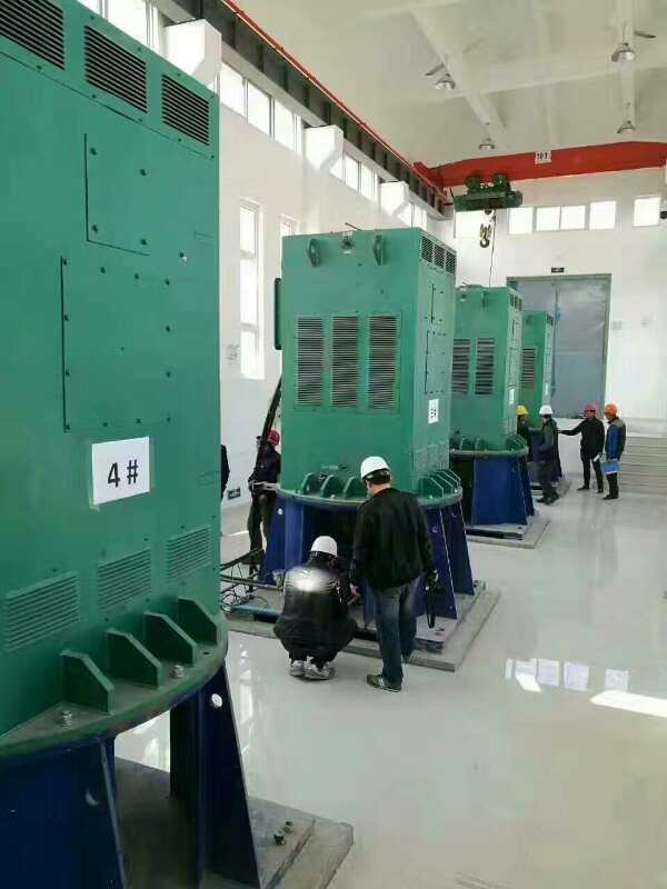 YKK4004-4/355KW某污水处理厂使用我厂的立式高压电机安装现场